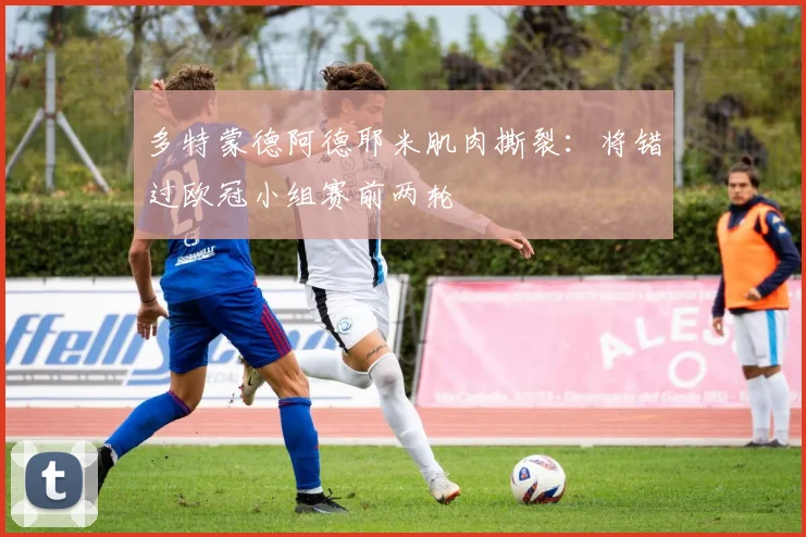 多特蒙德阿德耶米肌肉撕裂:将错过欧冠小组赛前两轮