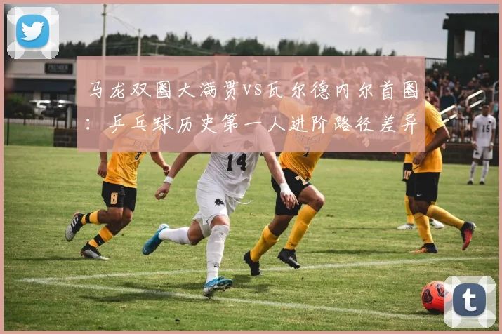 马龙双圈大满贯vs瓦尔德内尔首圈：乒乓球历史第一人进阶路径差异